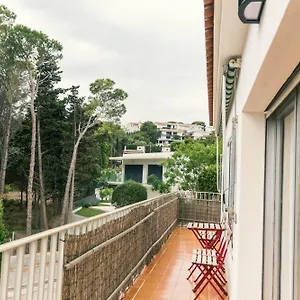 Falcó Llançà